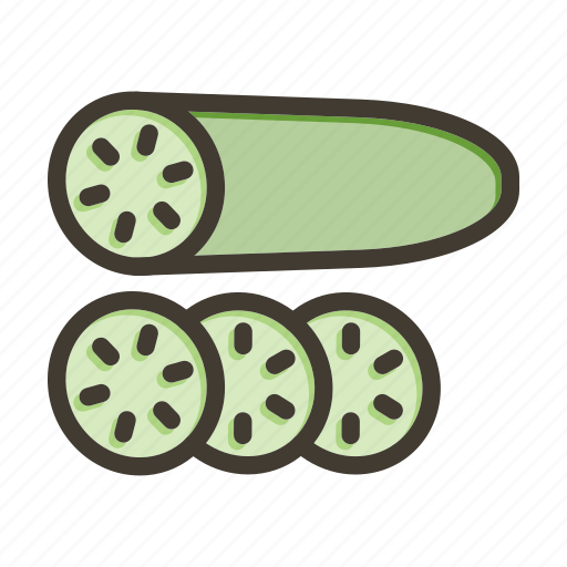 Cucumber, food, fresh, healthy, vegetarian icon - Download on Iconfinder