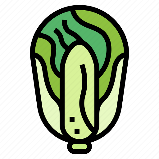 Cabbage, chinese, food, plant, vegetable, vegetarian icon - Download on Iconfinder