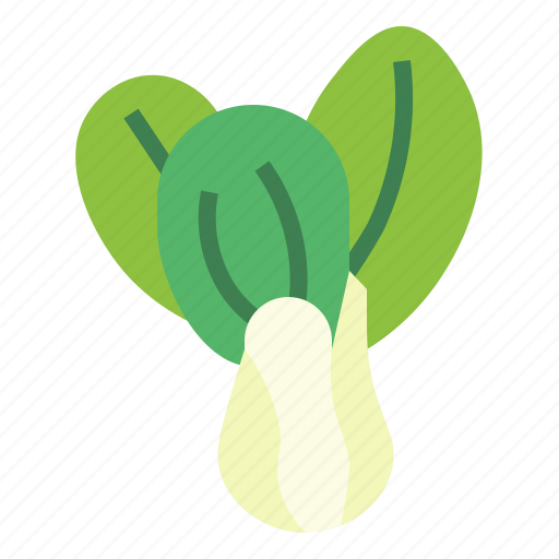 Bok, choy, food, plant, vegetable, vegetatrian icon - Download on Iconfinder