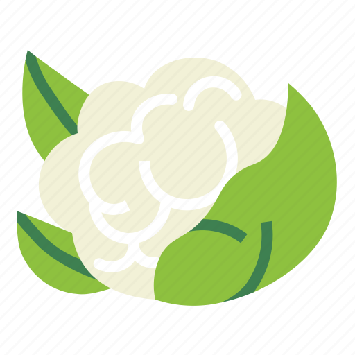 Cauliflower, food, plant, vegetable, vegetarian icon - Download on Iconfinder
