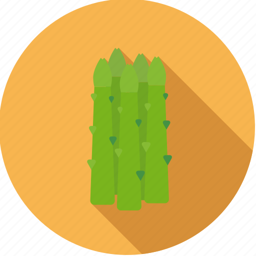 Asparagus, food, fresh, green, groceries, vegetable icon - Download on Iconfinder