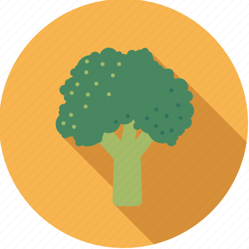 Broccoli, cabbage, flower, food, fresh, groceries, vegetable icon - Download on Iconfinder