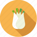 bulb, fennel, food, fresh, groceries, vegetable