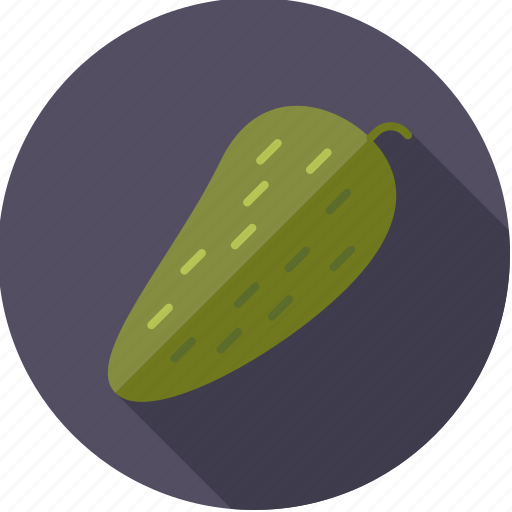 Food, gherkin, groceries, pickle, vegetable icon - Download on Iconfinder