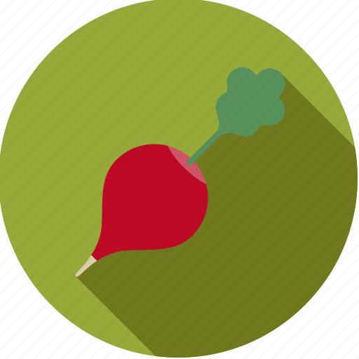 Food, fresh, groceries, radish, red, root, vegetable icon - Download on Iconfinder