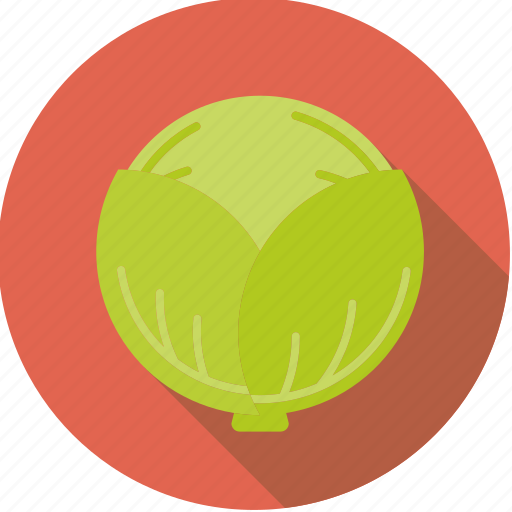 Cabbage, food, fresh, groceries, vegetable, white icon - Download on Iconfinder