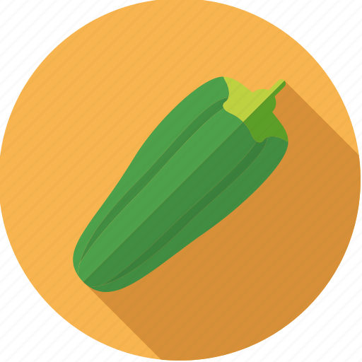 Food, fresh, gourd, groceries, vegetable, zucchini icon - Download on Iconfinder