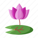 religion, lotus, vesak, buddha, flower