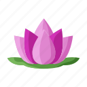 religion, lotus, vesak, buddha, flower