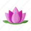 religion, lotus, vesak, buddha, flower 