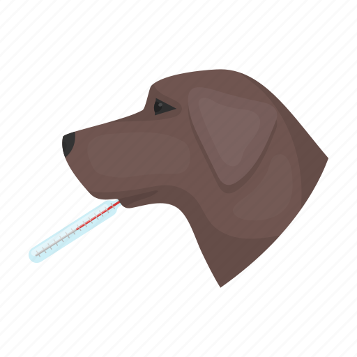 Animal, dog, head, medicine, temperature, thermometer, vet clinic icon - Download on Iconfinder