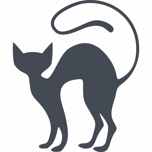 Veterinary, cat, animal, kitty icon - Download on Iconfinder