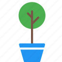 flowerpot, garden, nature, plant, pot, tree