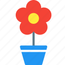 flower, flowerpot, garden, nature, plant, pot, tree