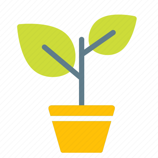 Flowerpot, leave, nature, plant, pot, tree icon - Download on Iconfinder