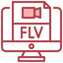 flv, format, extension, archive, file