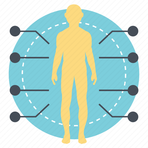 Body area network, body sensor network, body sensors, wearable computing device, wireless body area network icon - Download on Iconfinder
