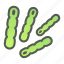 bacteria, disease, microbe 