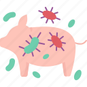 pig, borne, virus, zoonotic, disease