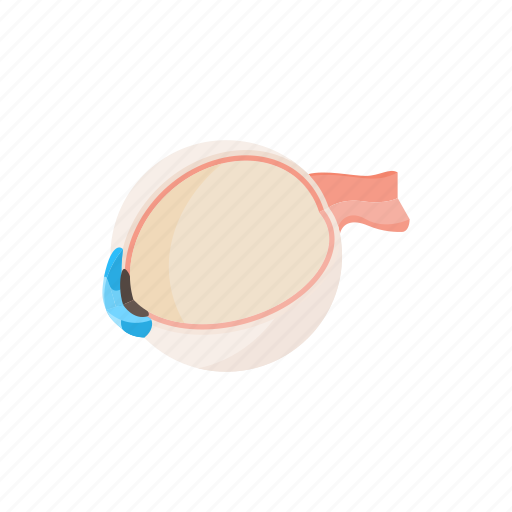 Cartoon, eye, eyeball, eyesight, human, iris, view icon - Download on Iconfinder