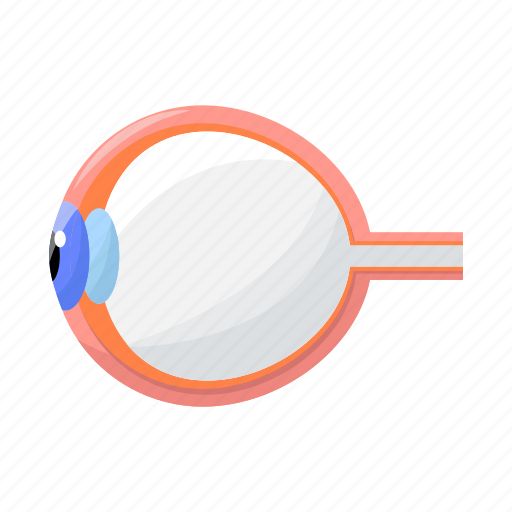 Correction, eye, eyesight, medicine, ophthalmology icon - Download on Iconfinder