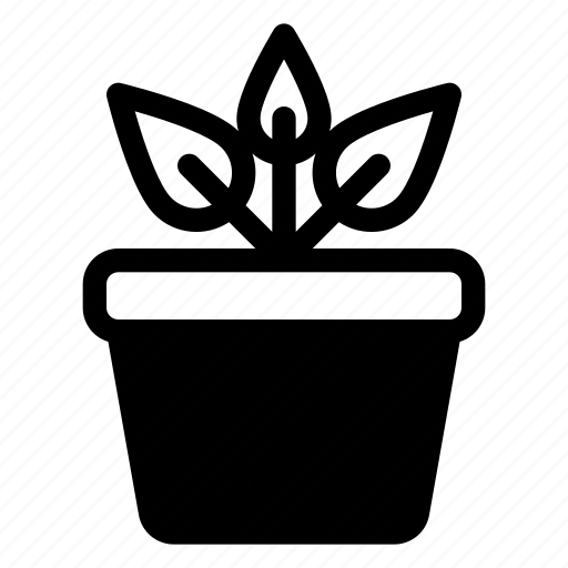 Plant, leaf, grow, growth, sprout icon - Download on Iconfinder