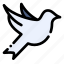 dove, animal, bird, love, peace 