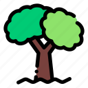 tree, woods, nature, forest, leaf