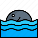 water, liner, flat, icon, expand, fish, fishes, sea, ocean
