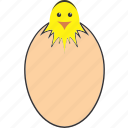 chick, chicken, crack, egg, inside, with