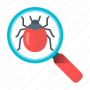 bug, bug search, development, programming, search, magnifier, magnifying