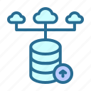 cloud, cloud networking, database, database networking, grade, server hosting, up