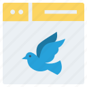 bird, browser, fly, page, web, webpage, website