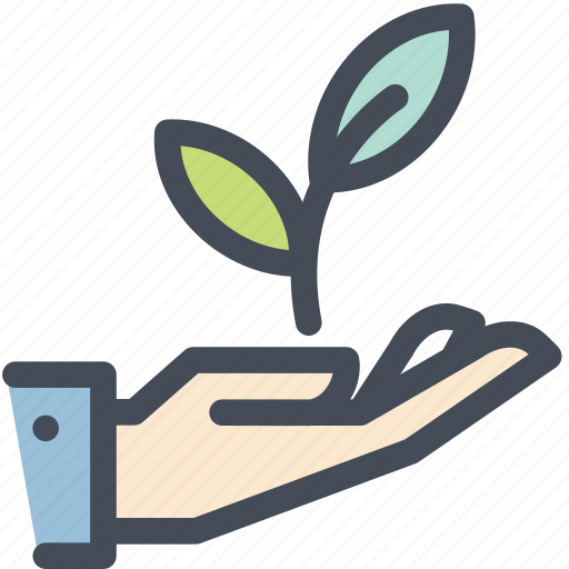 Business startup, growth, hand, leaf, plant, project, startup icon - Download on Iconfinder