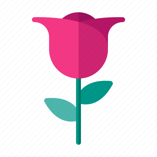 Flower, gift, love, romance, rose, valentine, wedding icon - Download on Iconfinder