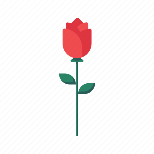 Rose, flower, love, valentine icon - Download on Iconfinder