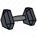 dumbbell, fitness, gym, sports, weight