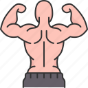 bodybuilding, muscular, strong, biceps, body