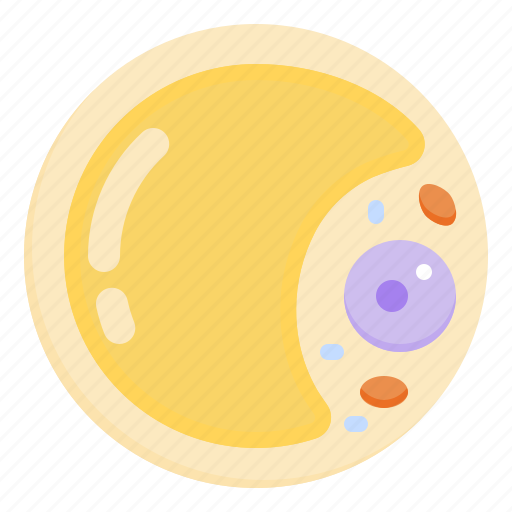 Adipocyte, adipose, cell, fat, biology, weight, loss icon - Download on Iconfinder