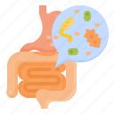 gut, microbiota, obesity, homeostasis, digestive, probiotics, prebiotic 