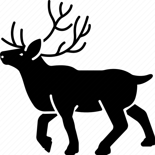 Animal, antler, herbivores, horned, nature, reindeer, stag icon - Download on Iconfinder