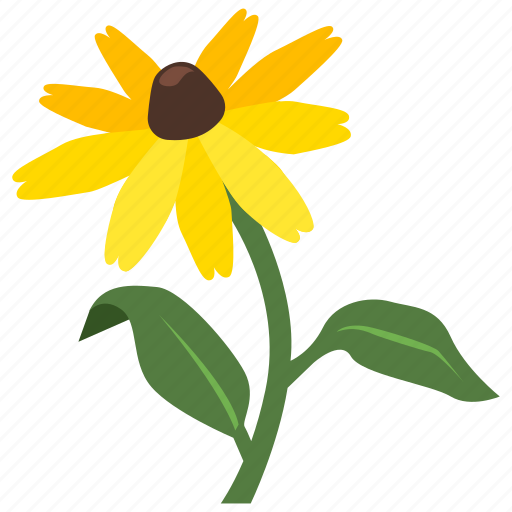 .svg, daisy, black-eyed, susan, yellow, flower icon - Download on Iconfinder