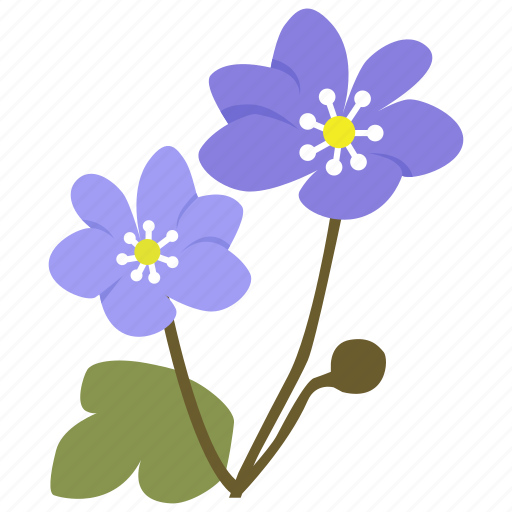 .svg, hepatica, americana, herbaceous, plant, flower icon - Download on Iconfinder