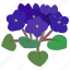 .svg, violet, persian, nightshade, herbaceous, flowers 