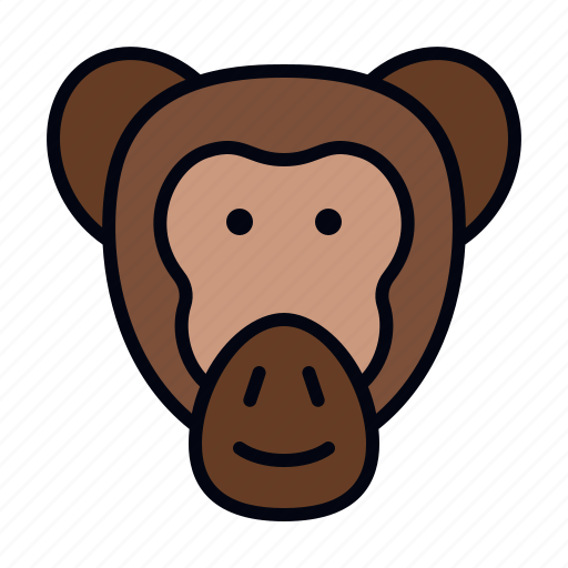 Chimpanzee, zoology, fauna, mammal, wildlife, tropical, monkey icon - Download on Iconfinder