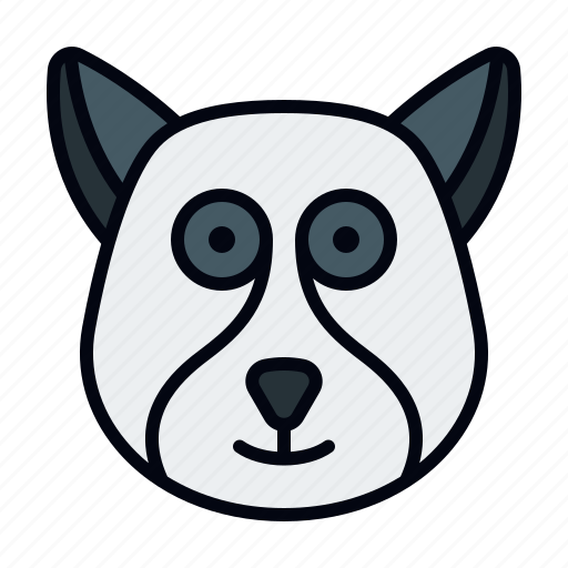 Lemur, animal kingdom, wildlife, zoo, animals, fauna, mammal icon - Download on Iconfinder