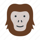 orangutan, animals, fauna, mammal, wildlife, cultures, animal kingdom, monkey, zoo, head