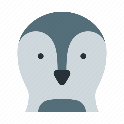 Penguin, fauna, north pole, wildlife, zoo, bird, animals icon - Download on Iconfinder