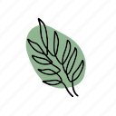 leaf, leaves, wild line, nature, art, aesthetic, green, plant, botanical