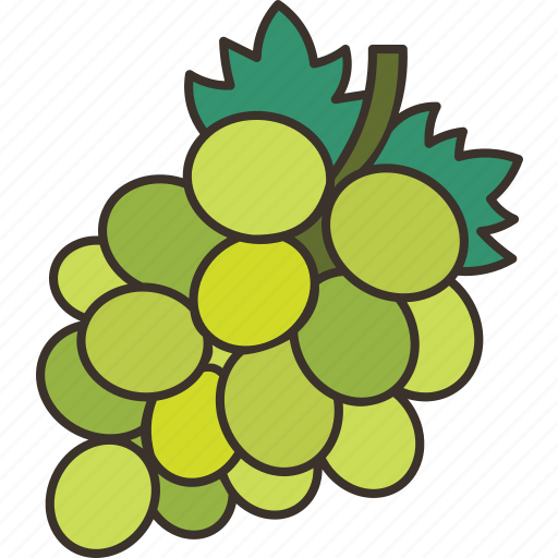 Grapes, bunch, juicy, vine, harvest icon - Download on Iconfinder